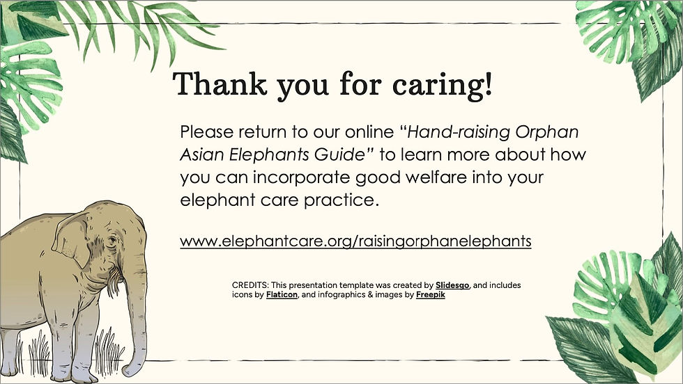 Orphan Elephant Welfare Slide #12