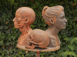 Atelier de l’observatoire avignon cours modelage sculpture céramique