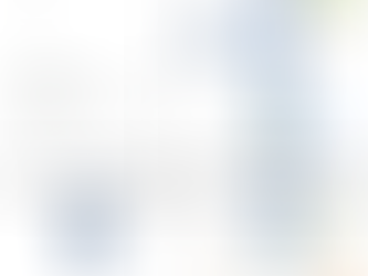 Driving Standards - Broking Flow Process