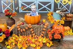 Pumpkins