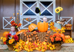 It's Pumpkins Time