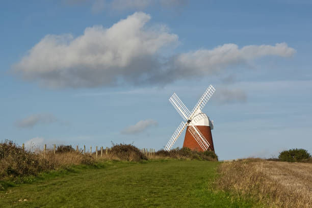 istockphoto-1299749486-612x612.jpg