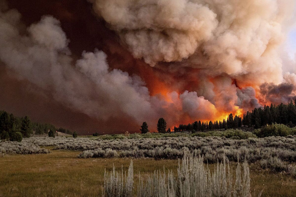 It Wasn't Always This Way: Wildfires in History & Now