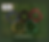 Thumbnail: Magnet School Olympique