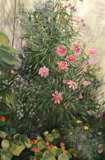 Cosmos