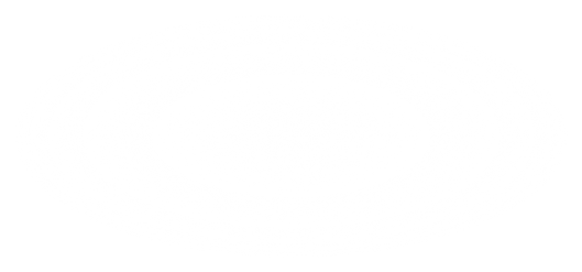 Recurso 4AICM.png