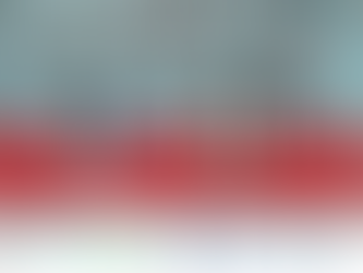 Primer on climate change: Directors’ duties and disclosure