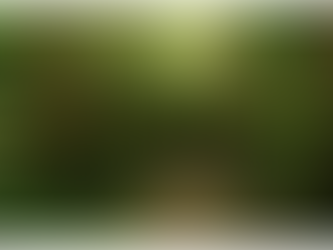 Observations on Budget 2023