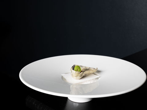 daemon©wibesagentur-6