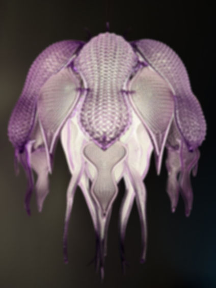 Aurea Tentaculata