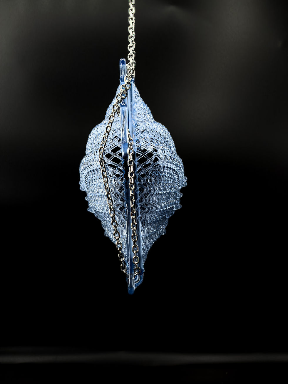 Thumbnail: Vespertillia carapax - Bag