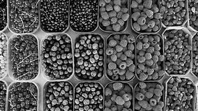 Berries stand in Slovenia in late May_ed