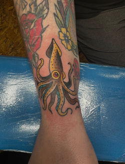 Squid