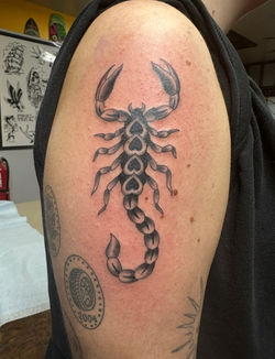Scorpion