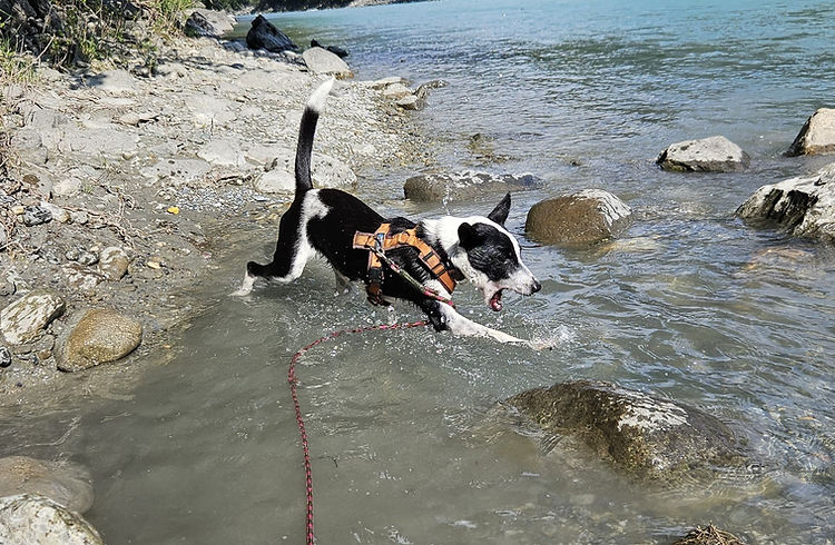 Mayla_Wasser_2.jpg