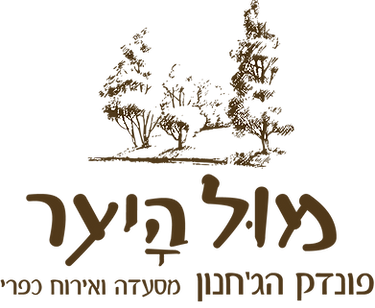 MUL YAAR LOGO-PNG.png