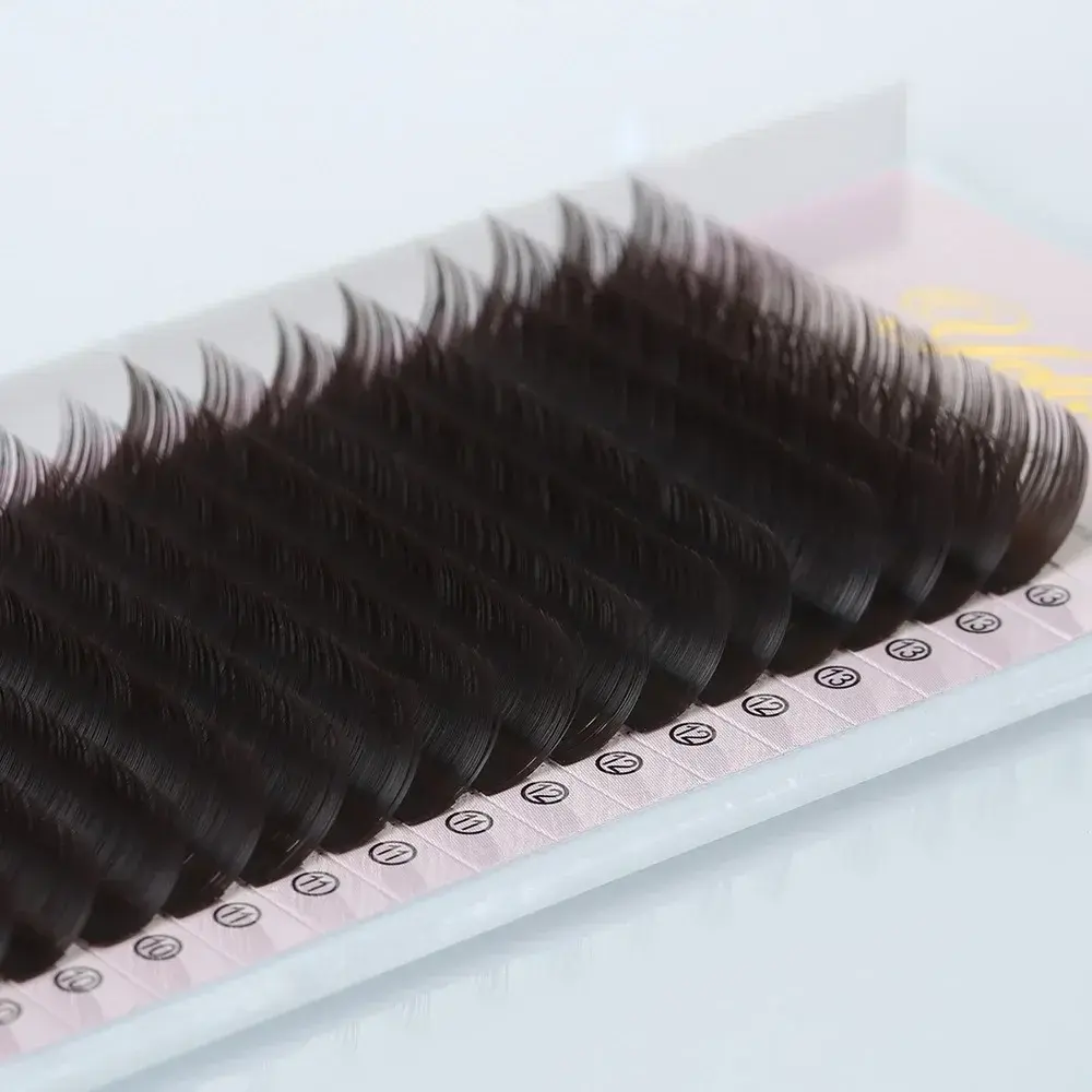 Professional Lash Extensions Tray