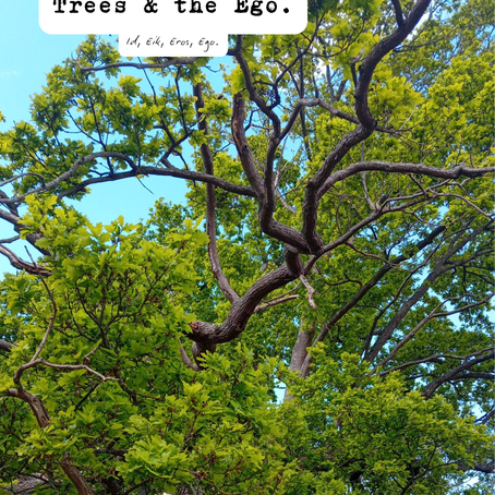 Trees & the Ego.