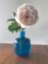 white vase IMG_3442.jpeg