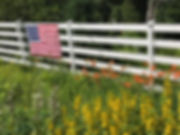 stripes IMG_3452.jpeg