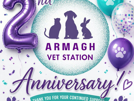 Celebrating Two Years of Armagh Vet Station!
