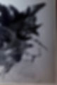 R-11083879-1509551839-7894_edited.jpg