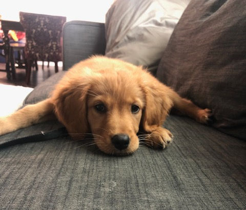 Parker