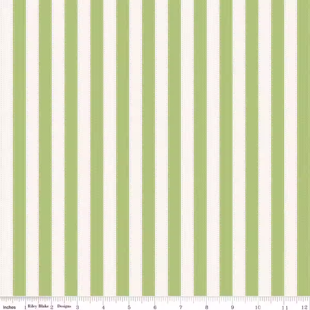 PRE-ORDER The World of Strawberry Shortcake™ Stripes Green