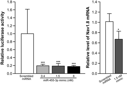 Intra-axonal protein synthesis in neurological disorders.