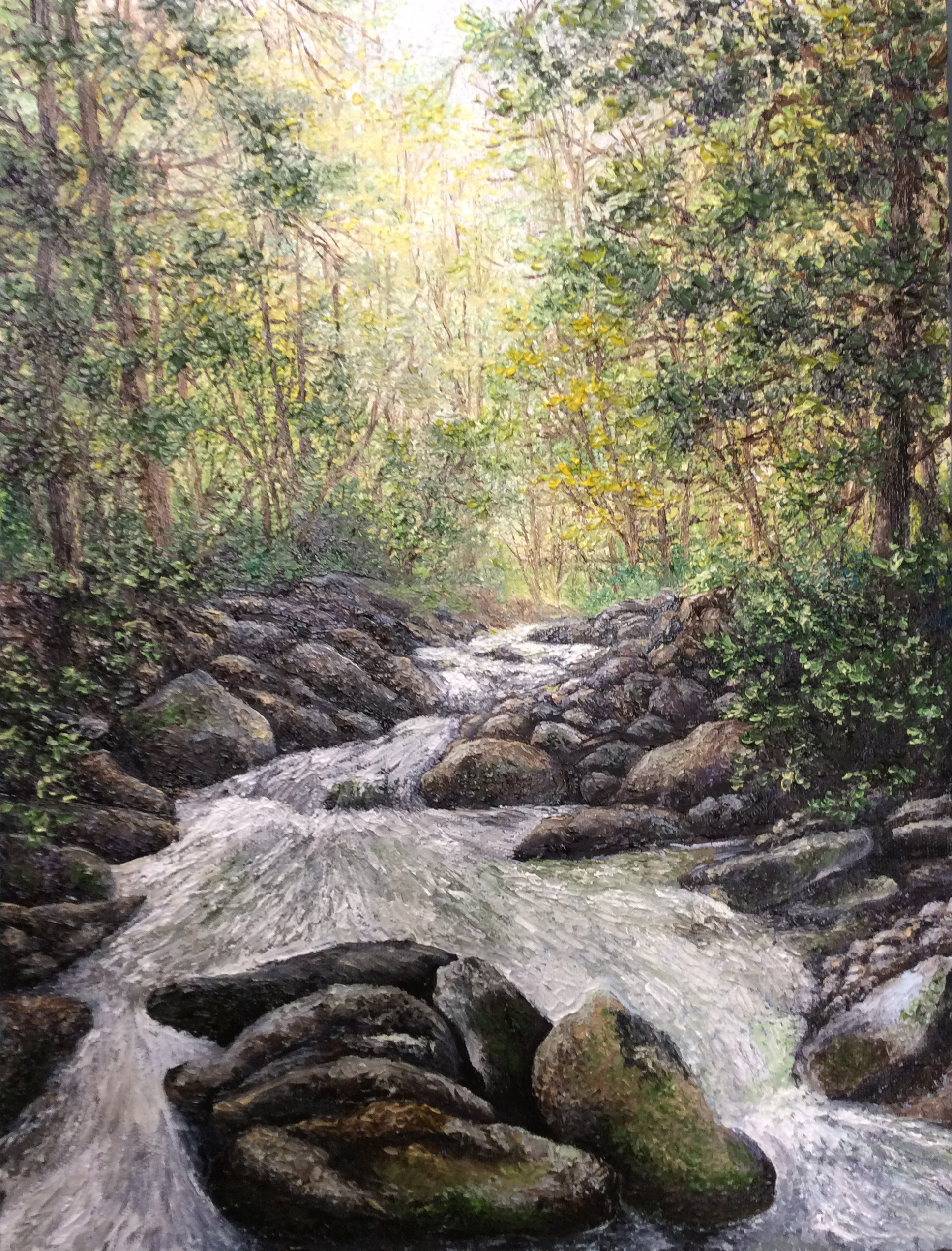 Spring Creek