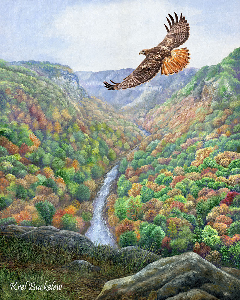 Little River Canyon Overlook 8X10 100.jpg