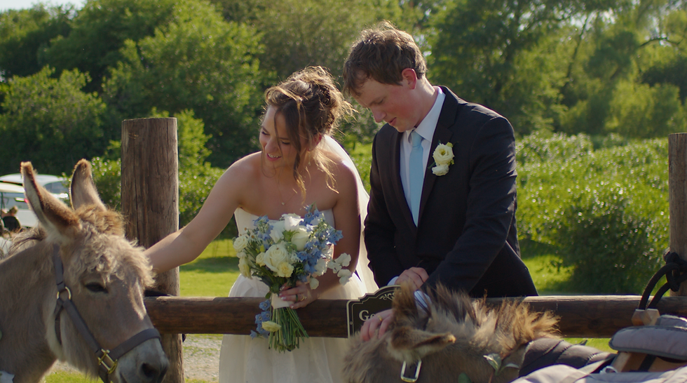 Bride and groom in wedding attire pet donkeys outdoors, smiling softly beside a wooden fence and green trees captured by an Eastern Iowa wedding videographer.