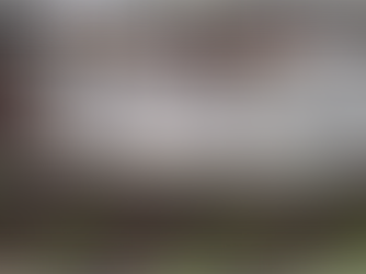 The Art of Silence & A Look Back At 2020 