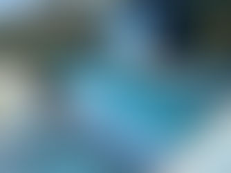 Swimming Pools, Weirdos & The American Dream