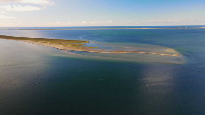 Instructeur expliquant la théorie avant un cours de E-foil aux Îles de la Madeleine