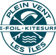 PVLI - LOGO - E-FOIL.png
