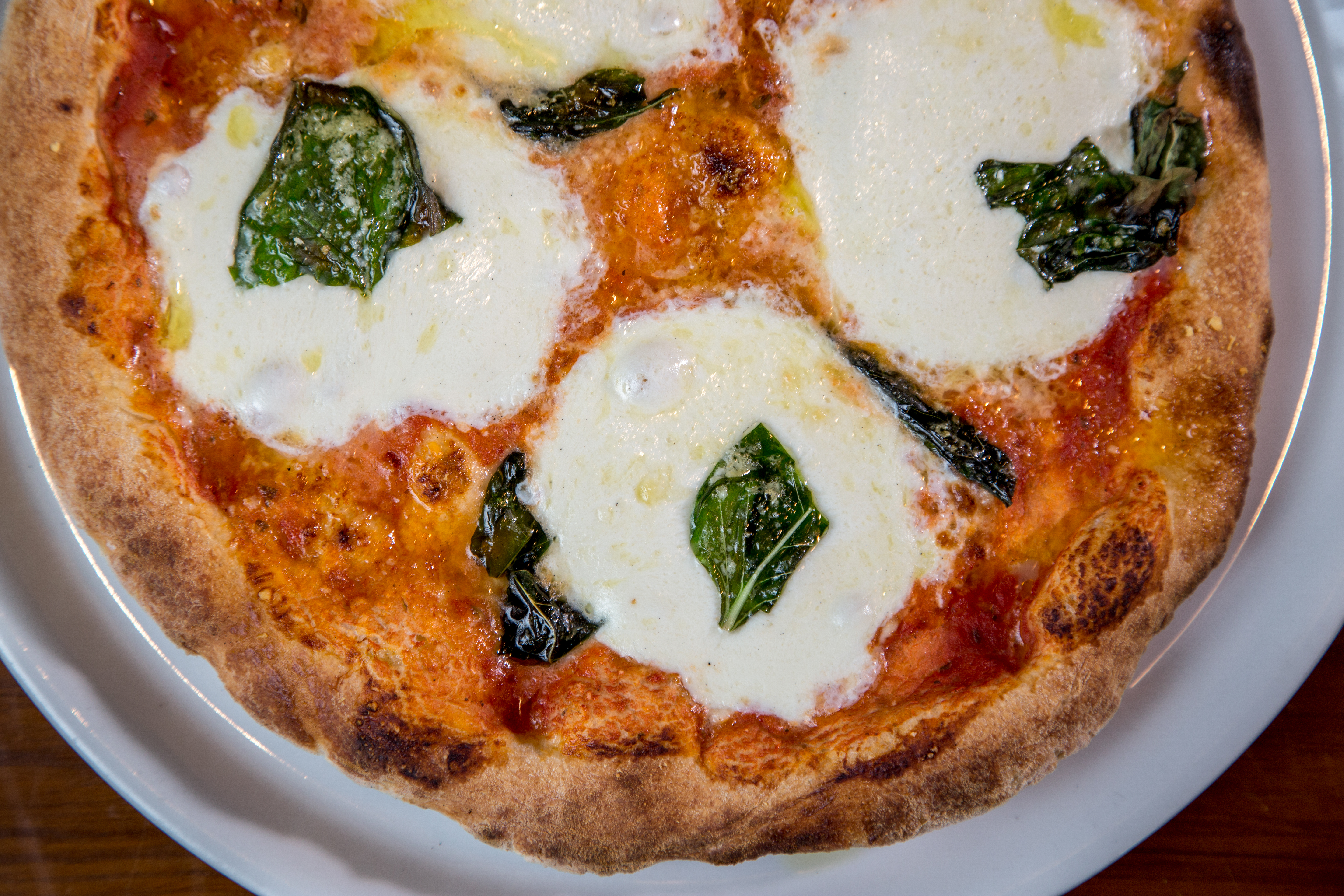 Authentic Italian Restaurant