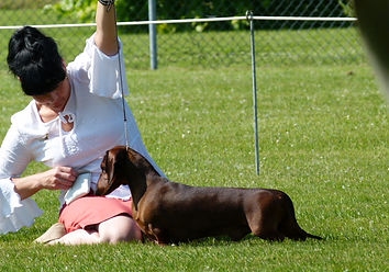 P1260402 - Copie.JPG