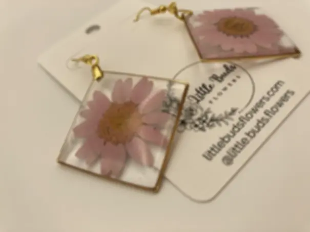Pink Daisy