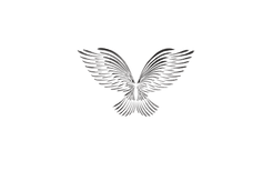 A.M.P.-LOGOSSSS.png