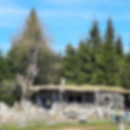 20200421_151311