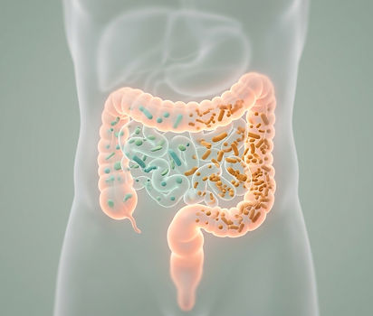 3D illustration of gut dysbiosis: an imbalanced mix of bacteria in the large intestine