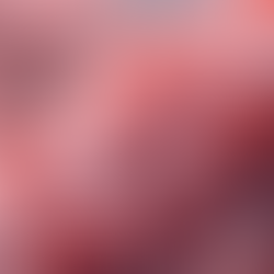 Healing Eczema from Within: The Essential Role of Gut Health in Skin Wellness