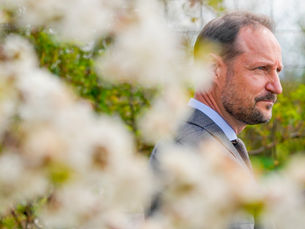 Aftenposten: Kronprinsen dropper statsråd