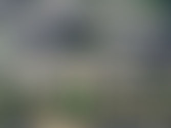 Pentagon-evakueringen skyldtes en falsk alarm, melder CNN