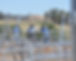 GNS Rural Services