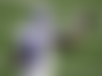 Michael Gallup é o mais novo WR dos Comanders