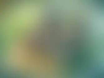 Elektromotoren in Biogasanlagen: Umgang mit Defekten