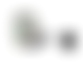 ACREL und seine Anwendung bei Stromfee.me