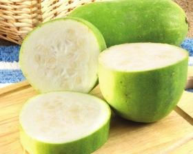 Thumbnail: white pumpkin Sapling(Nei Kumbalam) നെയ് കുമ്പളം തൈ